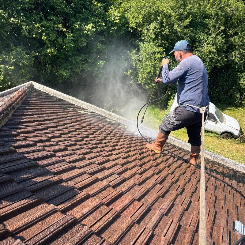 Roof Cleaning